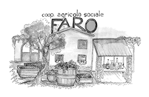 faro Società coop. sociale onlus